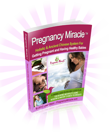 Pregnancy Miracle Book